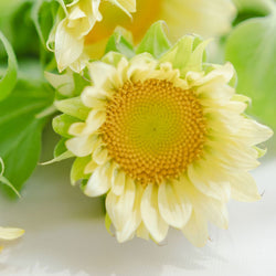 夏のダメージをその日のうちに修復したい理由