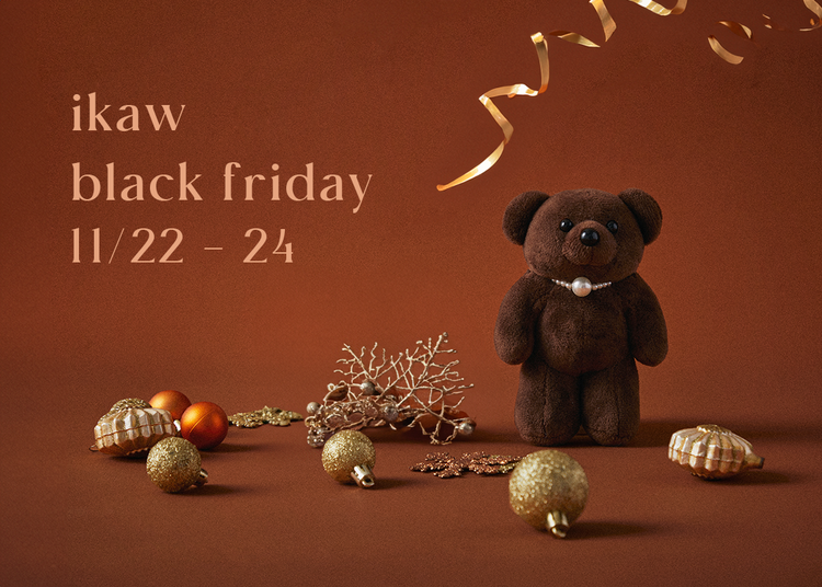 Black Friday:期間中のご購入でポイント2倍プレゼント