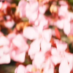 花粉で肌荒れするのはなぜ？今すぐできるスキンケア対策