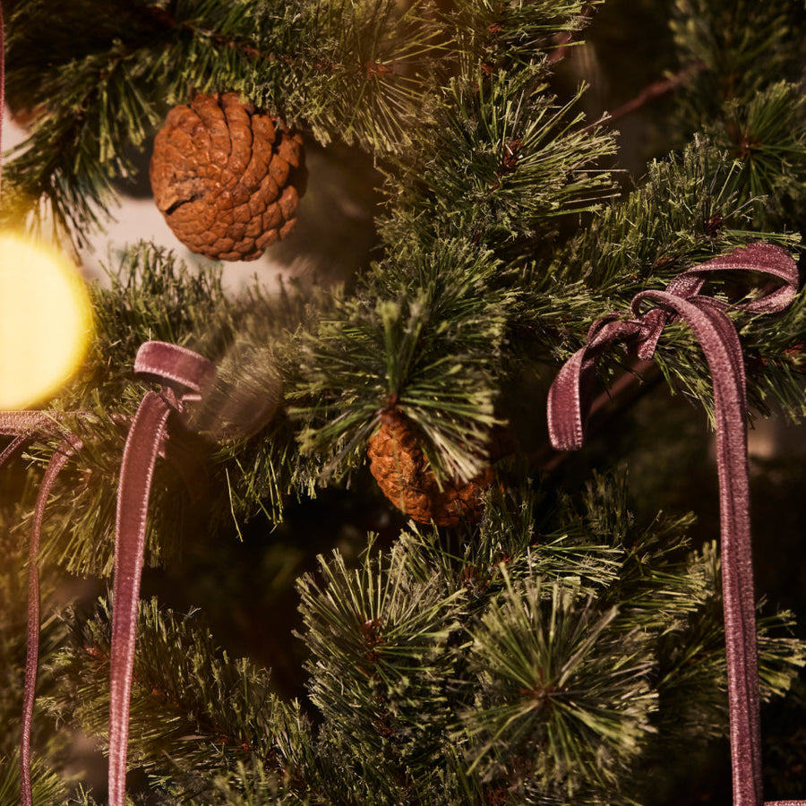 クリスマスに贈る、相手を想うikawギフト